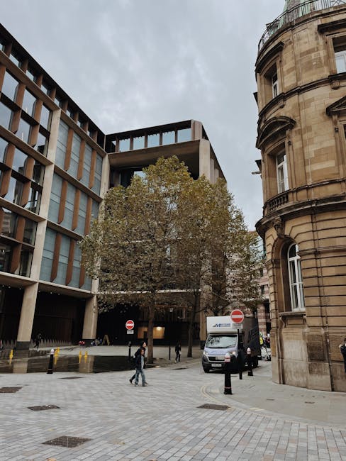 A street scene in Mayfair showing a large tree with sparse foliage situated between modern office buildings with extensive glass windows and a historic sandstone building with rounded windows and decorative stonework on the right. In the foreground, there is a paved pedestrian area with a few people walking, including a person carrying a small bag. A white moving van with the logo of Man with Van Mayfair is parked near the curb, with its rear doors closed, possibly prepared for a home relocation or furniture transport. The van is positioned close to the entrance of an alley or loading area behind the tree and buildings, indicating active loading or unloading operations as part of a professional removals service. The scene is lit by natural daylight under an overcast sky.